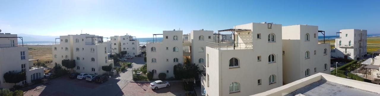 Aphrodite Beachfront Penthouse Apartment Ghaziveran Exterior photo